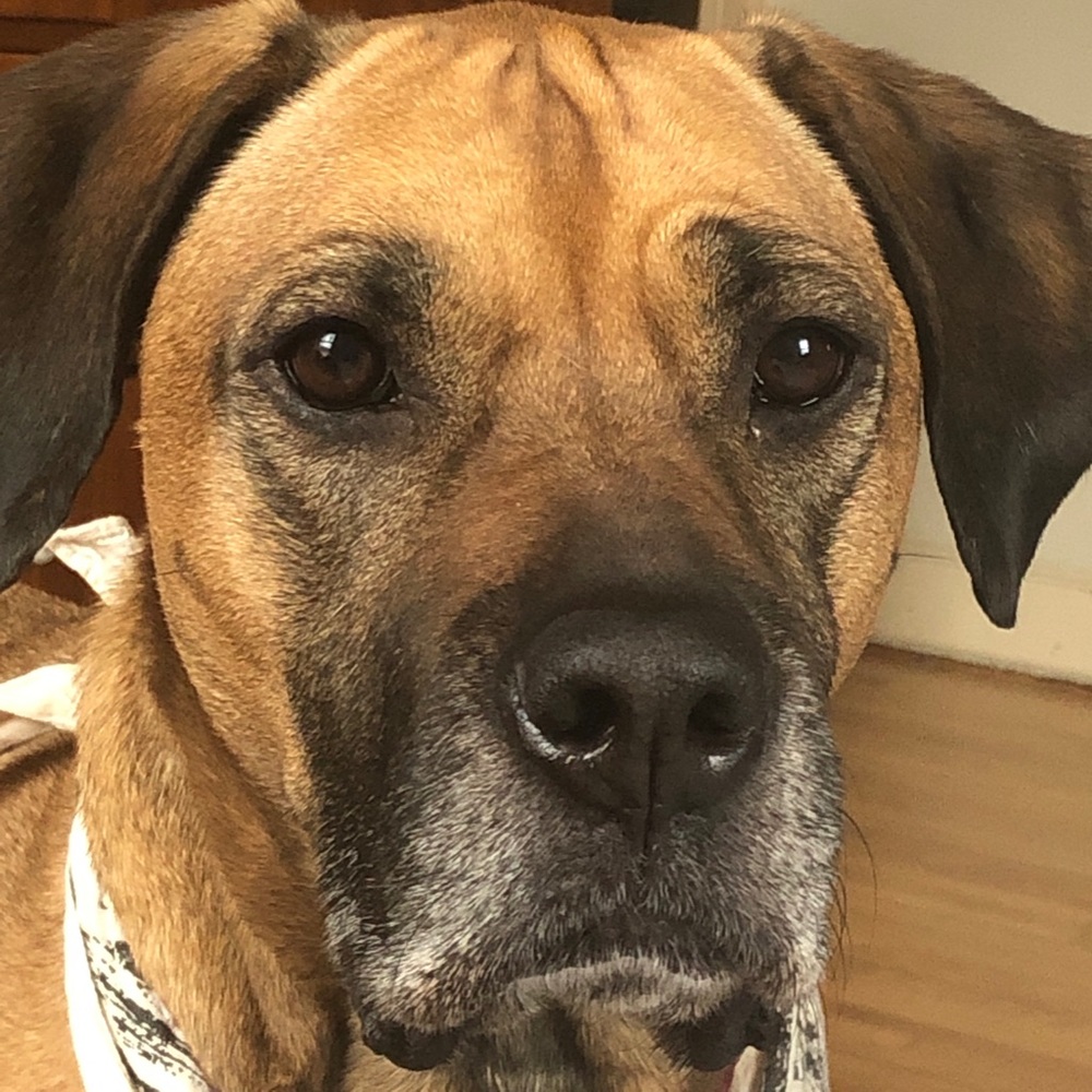 Meet your Posher, Alexis